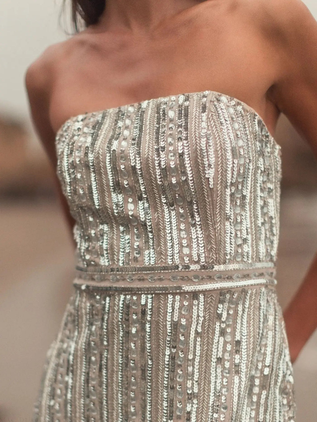 Silver and Beige Embellished Strapless Sheath Dress